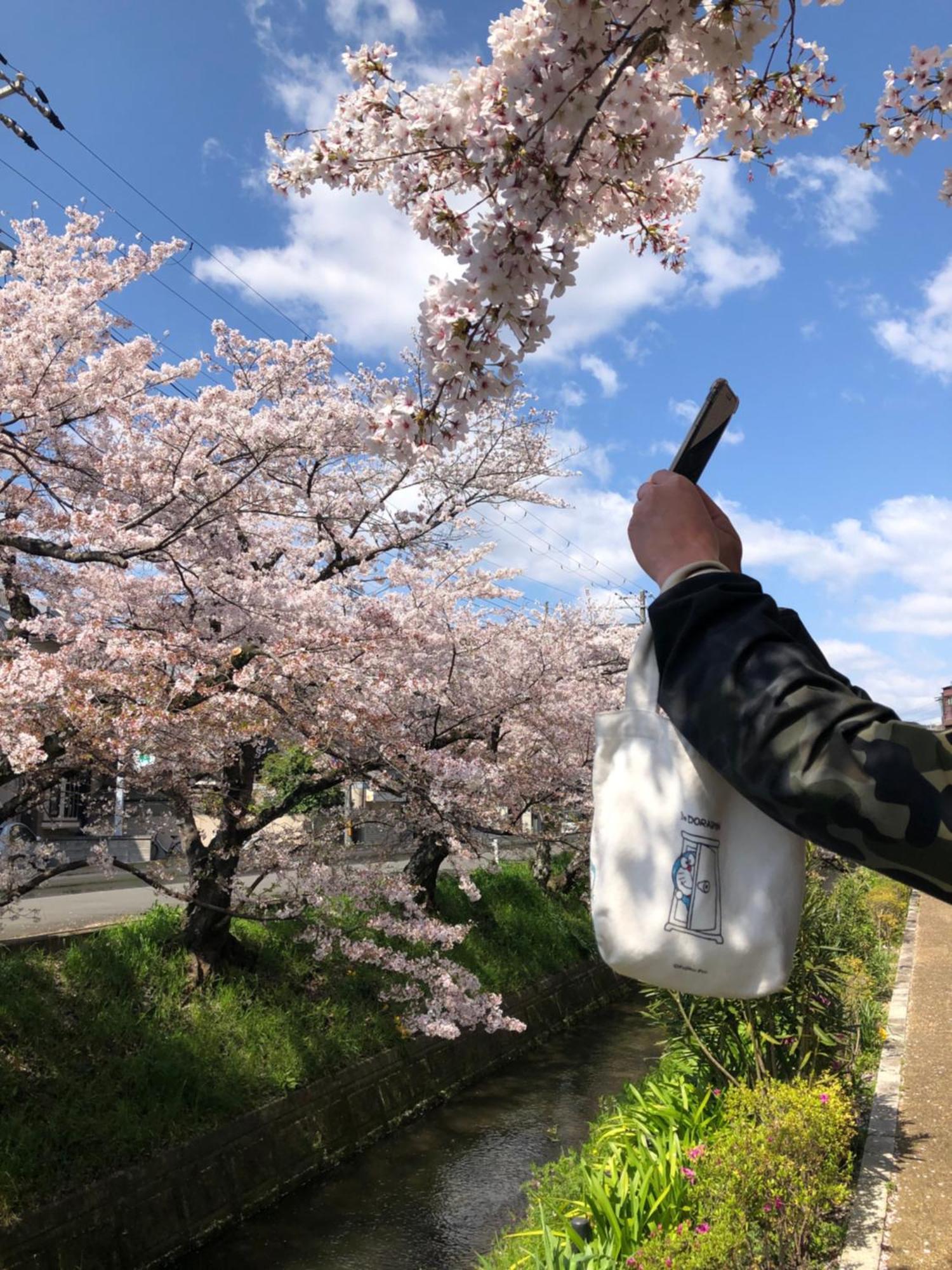 Tsubame-Ya Hotel Kyoto Ngoại thất bức ảnh