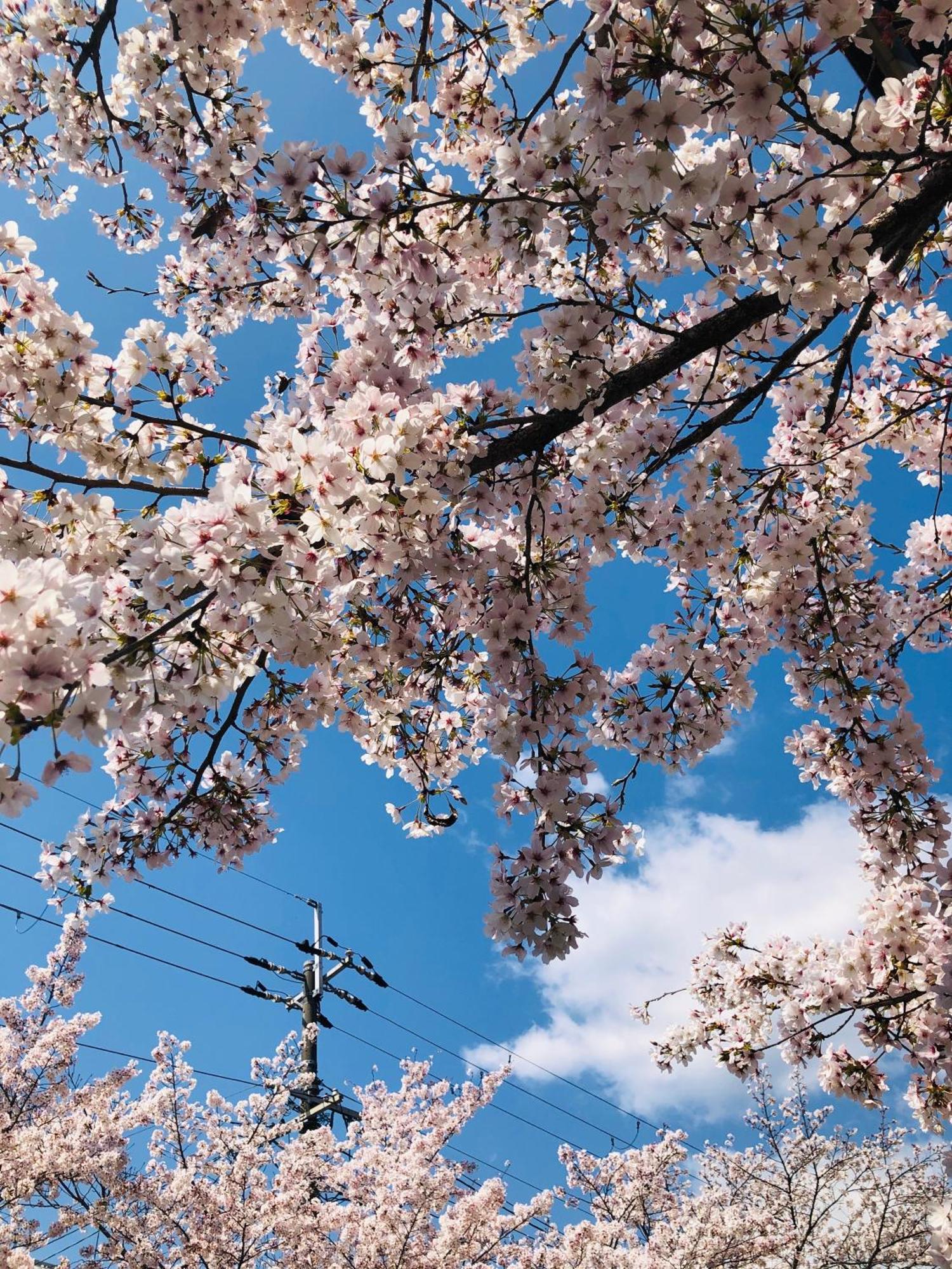Tsubame-Ya Hotel Kyoto Ngoại thất bức ảnh