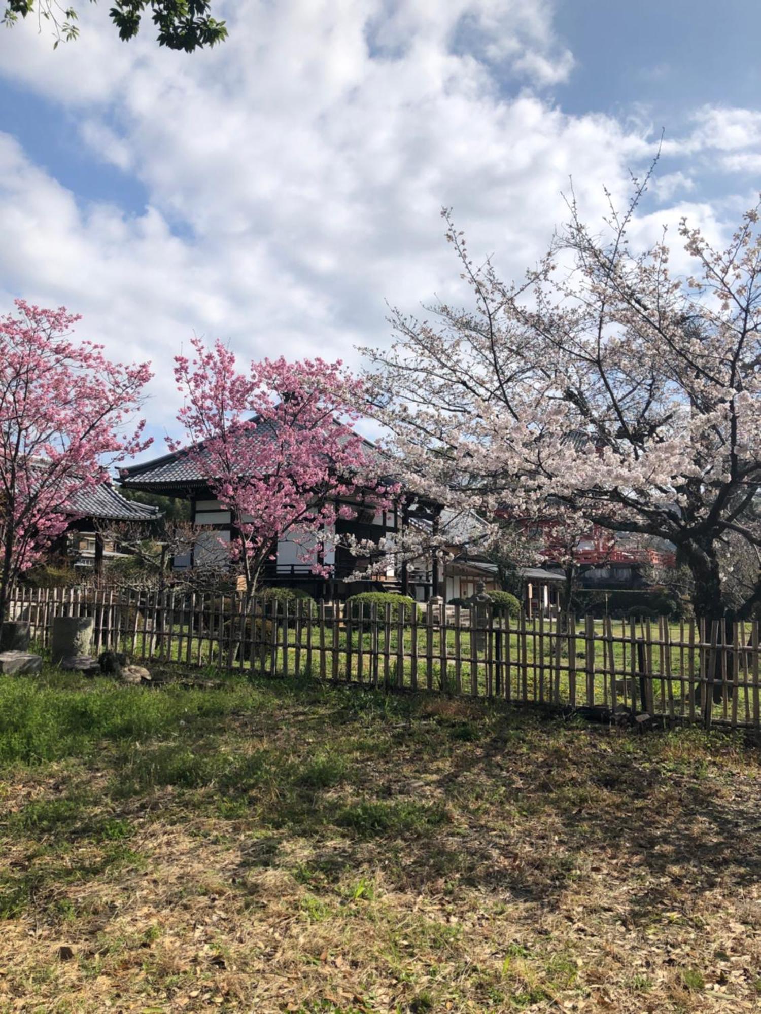 Tsubame-Ya Hotel Kyoto Ngoại thất bức ảnh